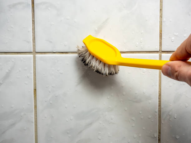 Reliable Daniels Farm, CT Mold Removal Solutions