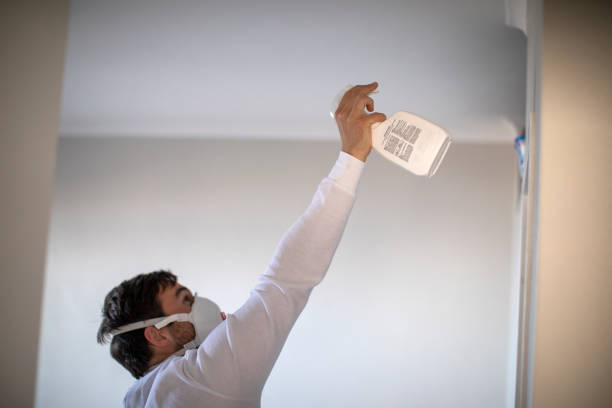 Best Toxic Mold Removal  in Daniels Farm, CT