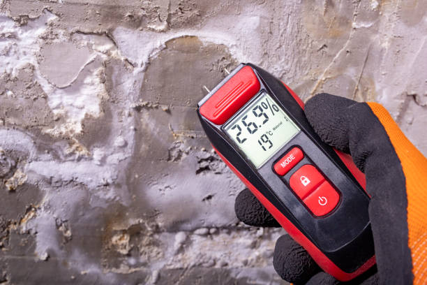 Best Water Damage Restoration  in Daniels Farm, CT