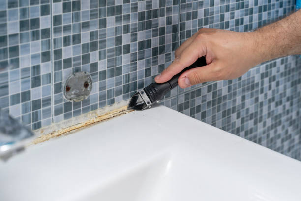Best Commercial Mold Removal  in Daniels Farm, CT