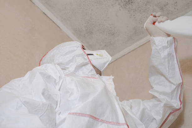 Best Toxic Mold Removal  in Daniels Farm, CT