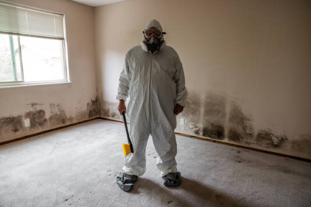 Home Mold Removal in Daniels Farm, CT